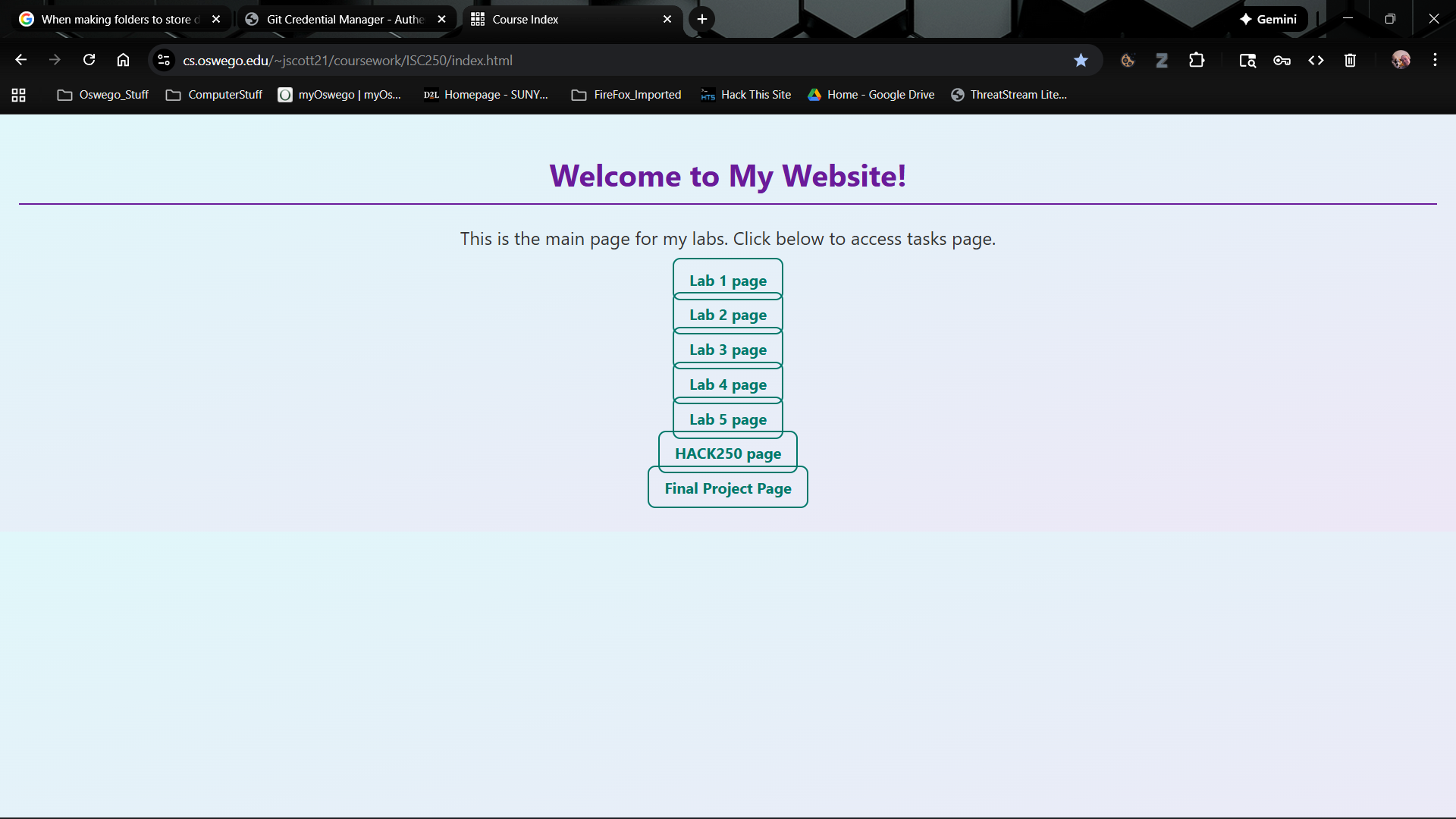 Oswego Raspberry Pi server website homepage